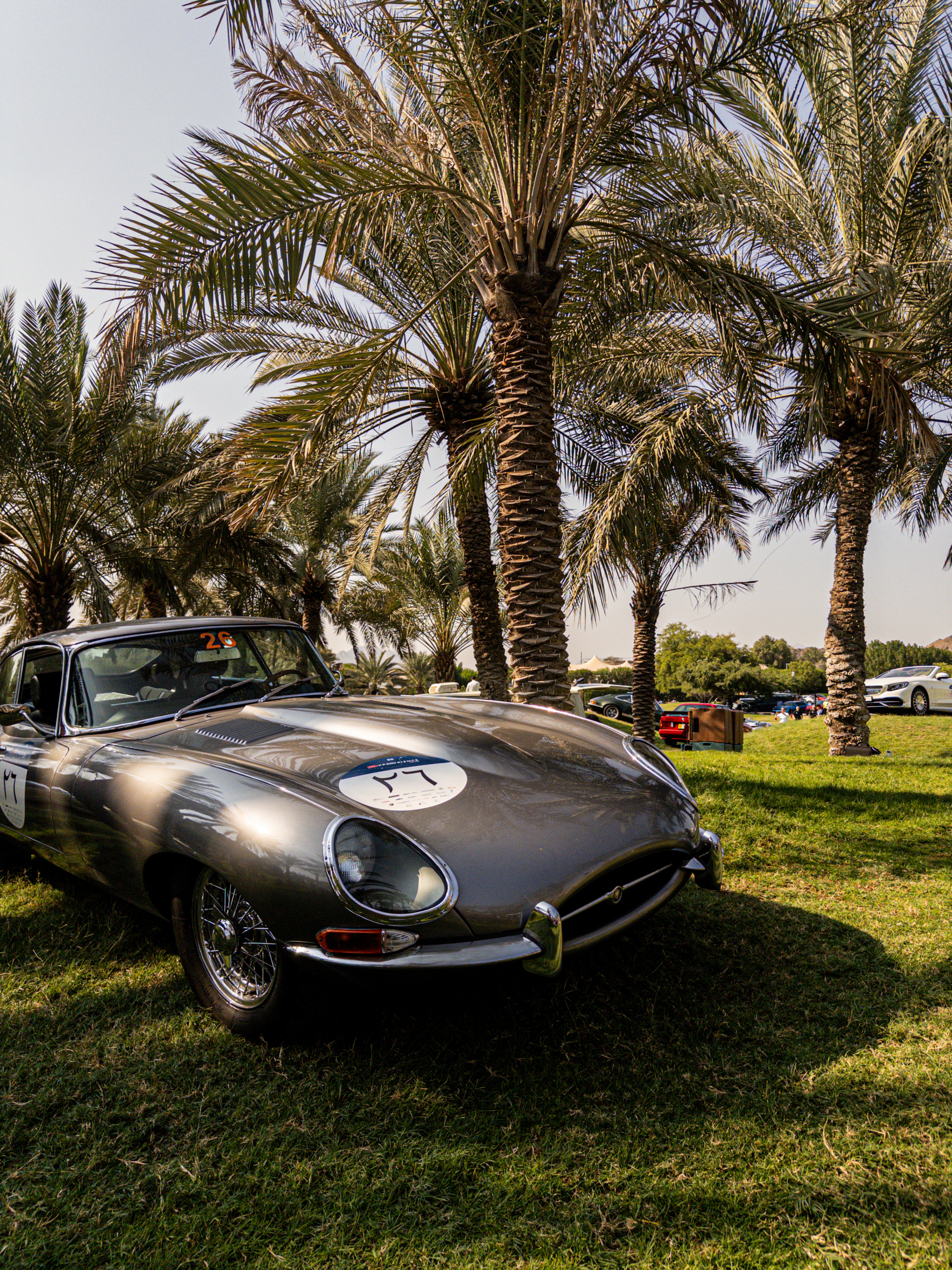 1000 Miglia Experience